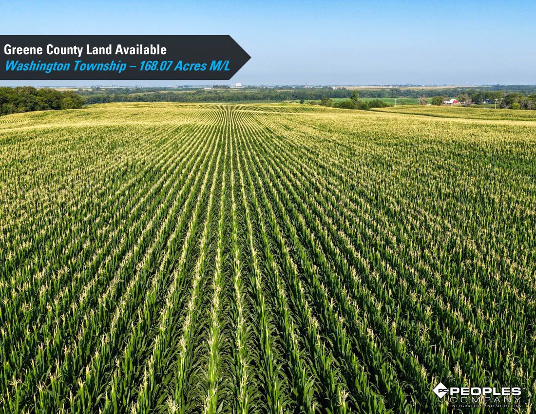 Listing Photo: Greene-County-Land-Available-168-Acres-19616 (12)